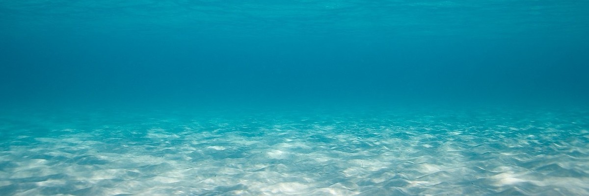 Amenințarea invizibilă: Scăderea nivelurilor de oxigen în oceane și impactul asupra vieții marine