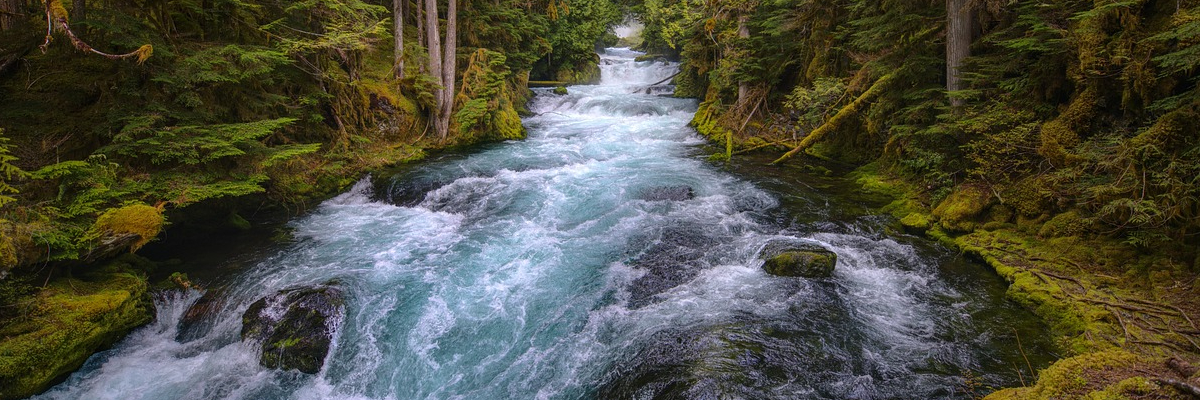 Revoluția Râurilor: Cum se pot acorda drepturi legale apelor